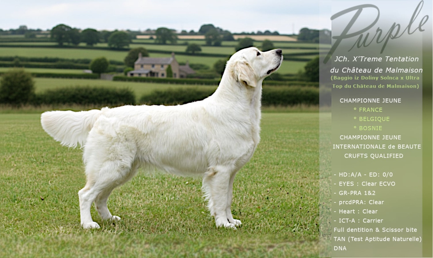 Jch X ´treme Tentation Du Château De Malmaison